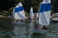 sailboats