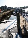 oil spill oak bluffs