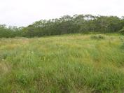 field pennywise preserve