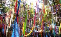 ribbons tree