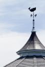 weathervane