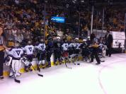 hockey rink fans