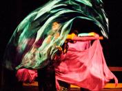 Vineyard Bellydance