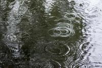 raindrops