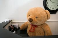Edgar the bear works the busy holiday season greeting customers in the lobby of Point B Realty