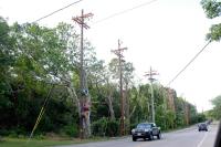 Nstar phone poles