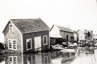 Hurricane Carol hits Menemsha 