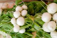 white turnips West Tisbury Farmers Market
