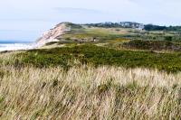 aquinnah, moshup trail, moors