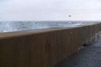 hurricanes, hurricane sandy, martha's vineyard