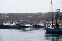 Menemsha, Christmas