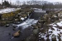Priesters Pond, Land Bank, West Tisbury