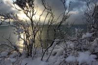 Chilmark, Snow