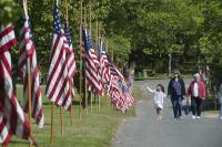 Avenue of Flags