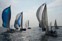 Spinnakers aloft