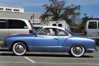 Dog in a car at the Martha's Vineyard Airport. 