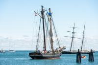 Some maneuvering on approach to Tisbury Wharf Company.