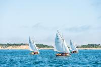 Herreschoff class practice race with North Neck bluffs behind.