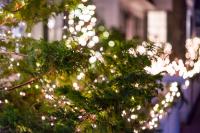 The lights at Martha's Vineyard Bank illuminate a whole section of Main street.