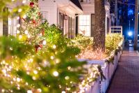 The lights at Martha's Vineyard Bank illuminate a whole section of Main street.