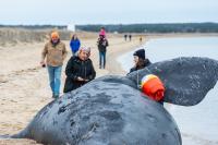Alice June Thompson (center) reacts to seeing the whale.