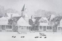 Geese take shelter in Ocean Park.