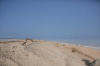 An excavator moves sand at Norton Point.