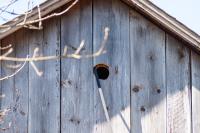 Aligning the owl box.