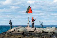 There is always a scene at the jetty in Menemsha.
