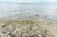 Flowers float away at the beach in Oak Bluffs.