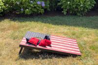 Yard games and cookouts were happening all over the Island