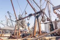 Fishing vessels line the dock to greet the visitors.