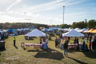 Numerous vendors and performers line the festival grounds.