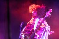 Esperanza Spalding was the event headliner.