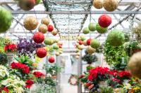 Along with much of Edgartown, Donaroma's decorates for the season.
